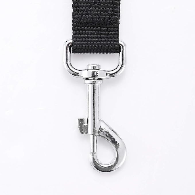 Strong Durable Nylon 10ft Long Dog Training Leash, Traction Rope, 1 Inch Wide, for Small and Medium Dog (Black, 10 Feet)