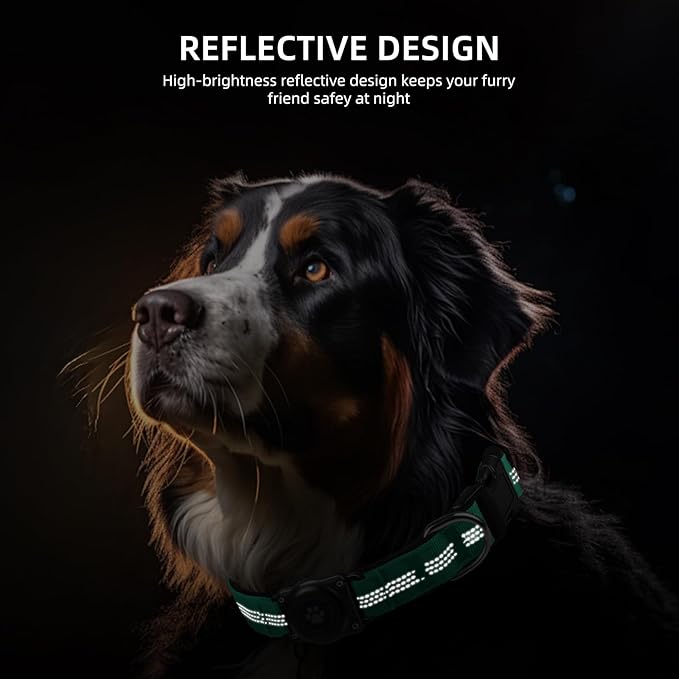 Upgraded AirTag Dog Collar, IP68 Waterproof Air Tag Dog Collar Holder, Reflective, Ultra-Durable, Comfortable Padded, Heavy Duty Dog Collars for Small Medium Large Dogs (XS (10.25"-13"), Teal)