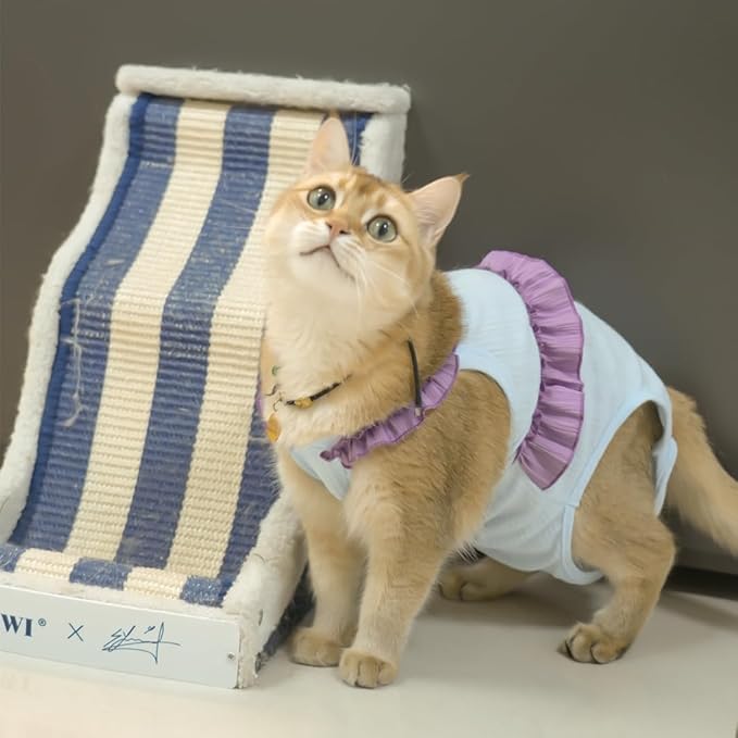 Cat Recovery Suit,Kitten Onesie After Surgery,E-Collar Alternative for Abdominal Wound and Skin Diseases,Soft Breathable Bodysuit After Spay（Blue-XL）