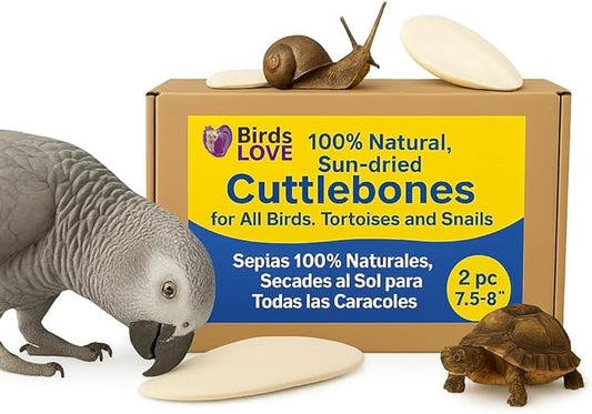 Birds LOVE Natural Cuttlebone for Birds & Reptiles – 100% Pure Sun-Dried Calcium Supplement – Supports Beak, Bone & Shell Strength – Safe Daily Use - 2 Pack with Holder, 7.5-8"