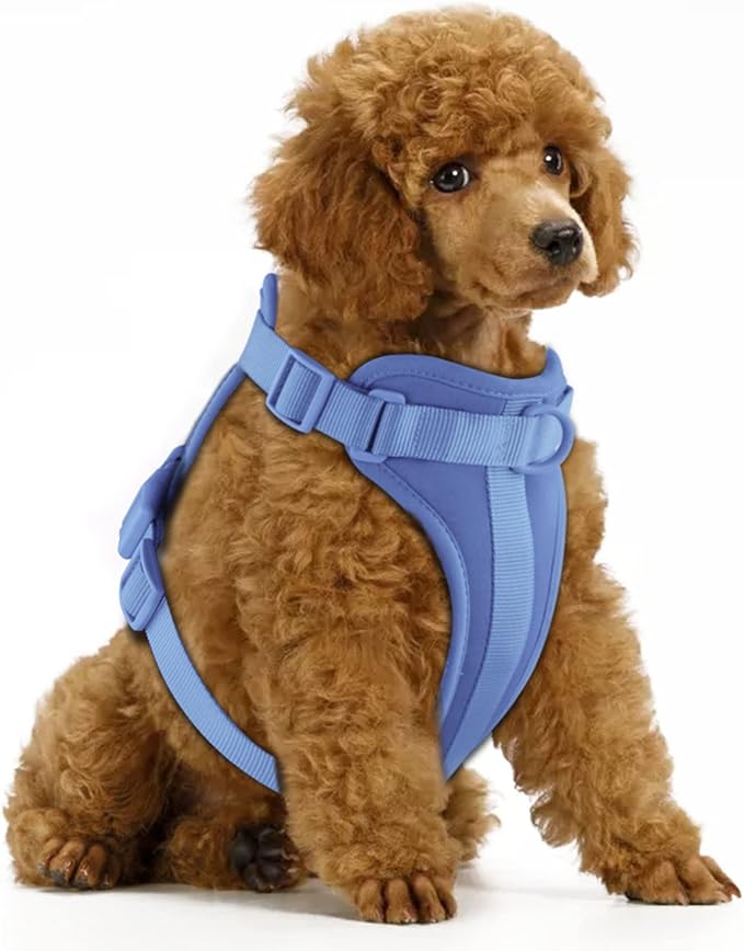 Wisedog No Pull Lightweight Dog Vest Harness with Soft and Comfortable Cushion, Breathable Mesh, for Small Medium Large Dogs Walking (S(Neck: 9.84"-14.17";Chest: 14.17"-22.05"), Blue)