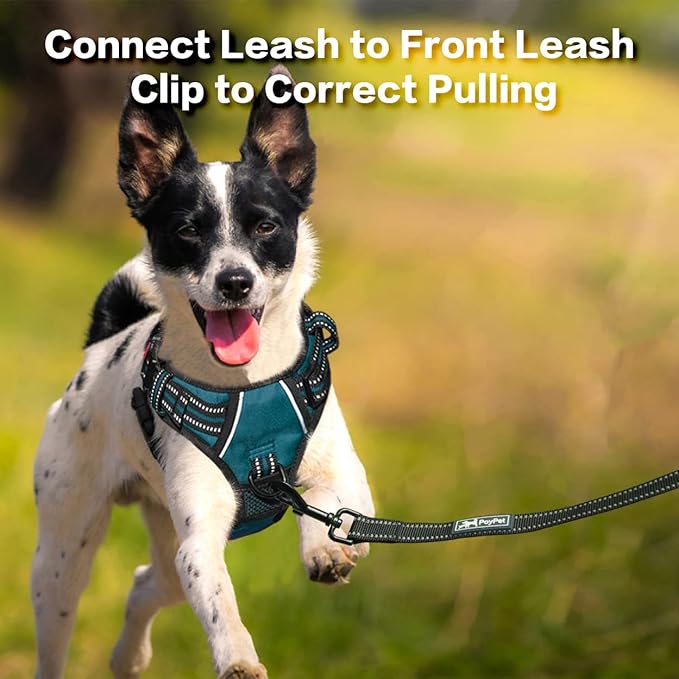 PoyPet No Pull Dog Harness, No Choke Front Clip Reflective Dog Vest with Soft Padded Vertical Handle, 3 Leash Attachments for Small Medium Large Dogs (Tumalo Teal,XL)