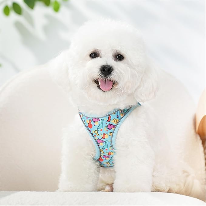 Step in Dog Harness No Pull Dinosaur Adjustable Soft Mesh Padded Reflective Pet Vest Harness and Leash Set for Small Medium Dogs