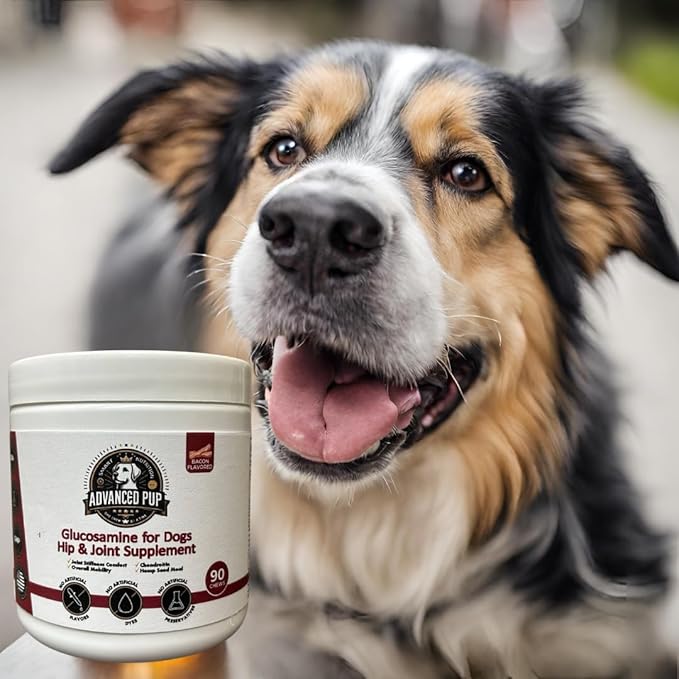 AdvancedPUP Hip and Joint Supplement - Effective Chondroitin MSM & Turmeric for Dogs - Dog Hip & Joint Care to Heal Dog Joint Stiffness & inflammation - Natural Glucosamine Supplement Tasty Bacon 90CT