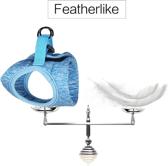 HEYWEAN Cat Harness and Leash - Ultra Light Escape Proof Kitten Collar Cat Walking Jacket with Running Cushioning Soft and Comfortable Suitable for Puppies Rabbits