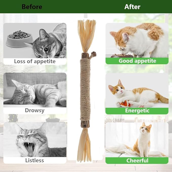 6 PCS Silvervine Sticks for Cats - Natural Cat Chew Toys for Teeth Cleaning, Kitten Teething & Aggressive Chewers