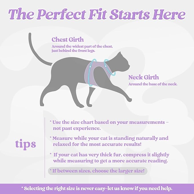 rabbitgoo Cat Harness and Leash Set for Walking Escape Proof, Adjustable Soft Kittens Vest with Reflective Strip for Cats, Comfortable Outdoor Vest, Light Purple, S