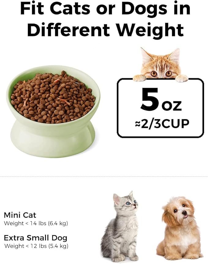 LoeJan Elevated Cat Food Bowl, 5 Oz Ceramic Raised and Tilted Water Bowl, Anti Vomiting and Protect Pets' Spines Dishes for Small Dog, Fat Faced Cat, Kitten (Green, 2 Pack)