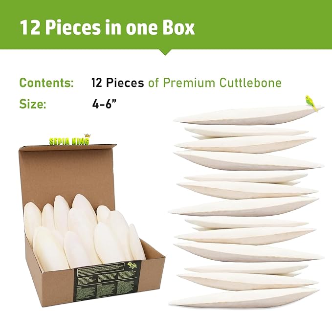 Medium - 100% Natural Calcium Supplement - Premium Cuttlebone Perfect for Birds, Tortoises, Snails, Reptiles - 12 Pack