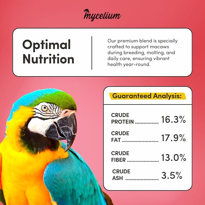 Mycelium Organic Macaw Plus Bird Seed Mix (5 LBS) | Premium Bird Food for Macaws & Large Parrots | High-Protein & Vitamin-Fortified Formula | Skin & Feather Support | Non-GMO, No Fillers, USA Made