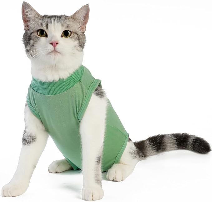 Cat Surgery Recovery Suit Professional for Surgical Abdominal Wound Or Skin Diseases E-Collar Alternative for Cats After Surgery Wear Pajama Suit (Green, Large)