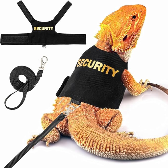 Reptile Leash Harness Soft Padding Dragon Wings Vest with Hook and Loop for Small Animals Cute Security Clothes (Security)