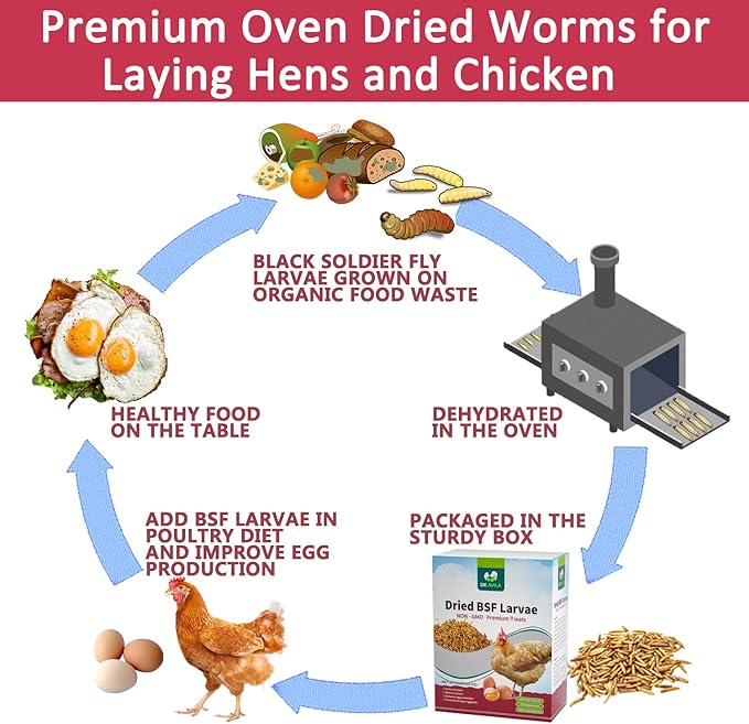 10LB Dried Black Soldier Fly Larvae for Chickens, Non GMO 86X More Calcium BSF Larvae Than Mealworms for Chickens & Birds, Natural Chicken Feed Bulk, Chicken Worms Treats, Wild Birdseed Attractant