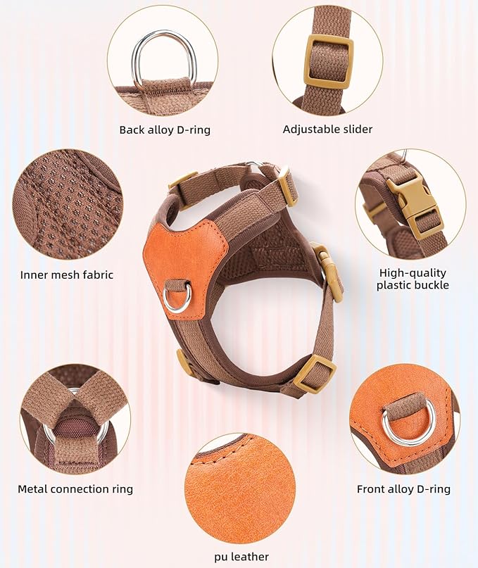 Blue XS No Pull Dog Harness for Small Dogs, Anti-Escape Easy Walk Puppy Harness with 2 Leash Clips, Adjustable Dog Vest Harness for Training Walking(Blue, XS)