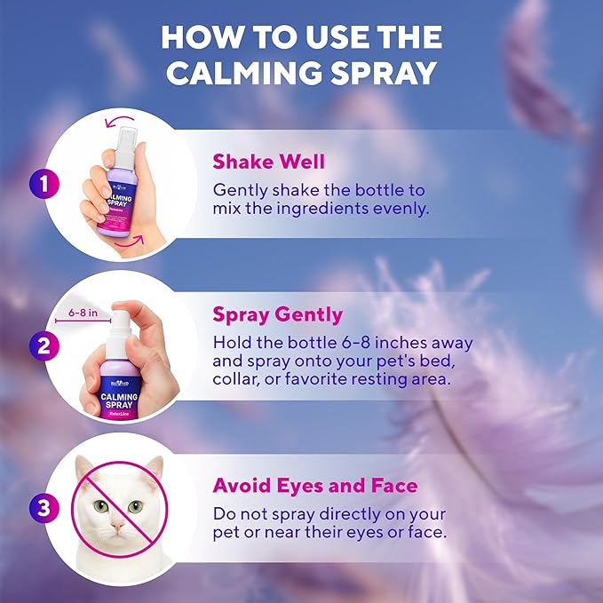 Calming Pheromone Spray & Scratch Repellent for Cats - Reduces Scratching Furniture, Pee - During Travel, Fireworks, Thunder, Vet Zone - Helps with Stress, Fighting, Hiding (100 ml (2 pack))