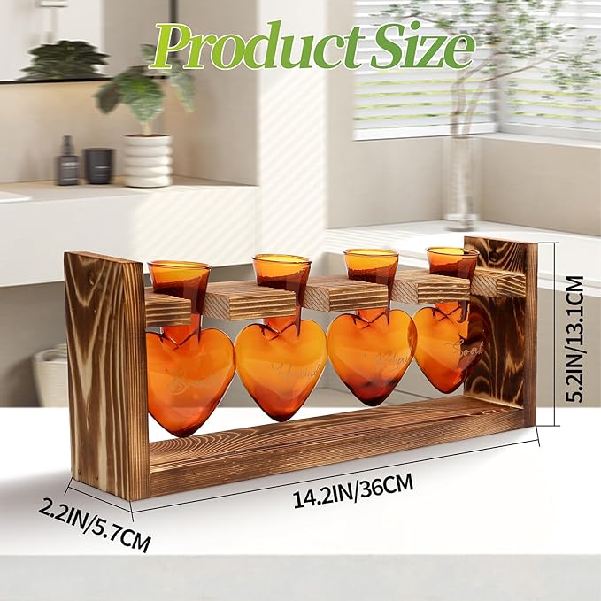 Plants Propagation Stations Plant Terrarium Kit for Bathroom Glass Planters for Indoor Plants Bathroom Decor Accessories - Relax Soak Unwind Breathe