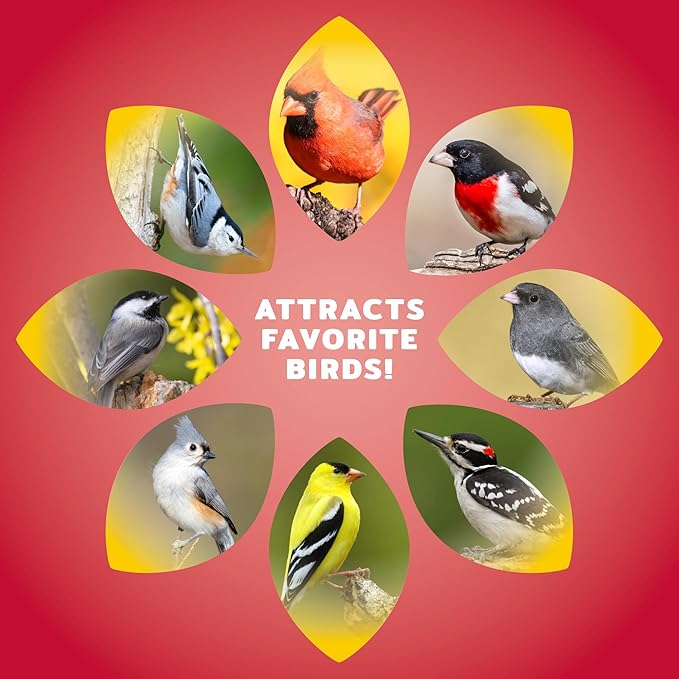 Audubon Park Cardinal Wild Bird Seed - 8 lb. No Corn, Milo, or Millet – Sunflower & Safflower Mix – Bird Food for Outside Feeders