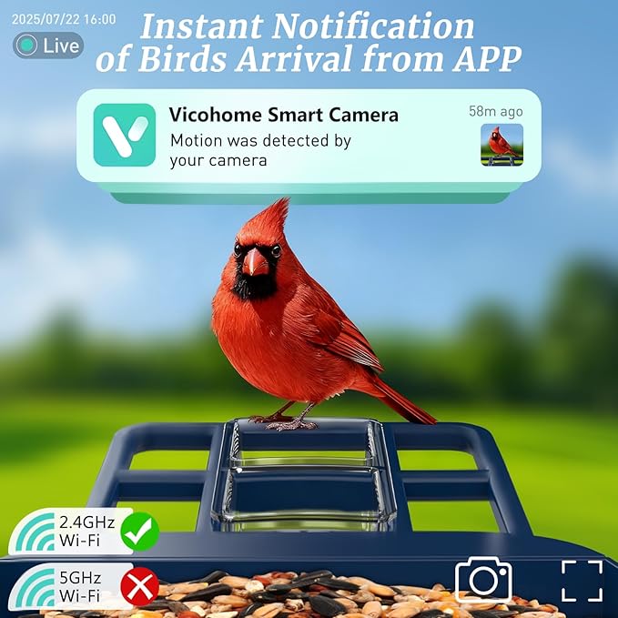 Smart Bird Feeder with Camera & AI Identification, 2K HD Live View, Solar Powered, Instant Arrival Alerts, IP65 Waterproof for 10,000+ Bird Species