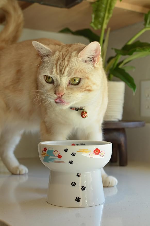 Necoichi Elevated Cat Water Bowl – Ceramic Raised Cat Bowl, Prevents Neck & Whisker Fatigue – Dishwasher & Microwave Safe – Pet Water Bowl for Cats (Fuji, Extra Tall)