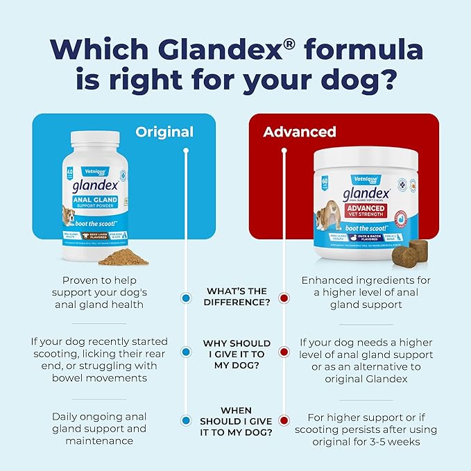 Vetnique Labs Glandex Dog Fiber Supplement Powder for Anal Glands with Pumpkin, Digestive Enzymes & Dog Probiotics for Digestive Health - Vet Recommended - Boot The Scoot (Pork Liver, 4.0oz Powder)