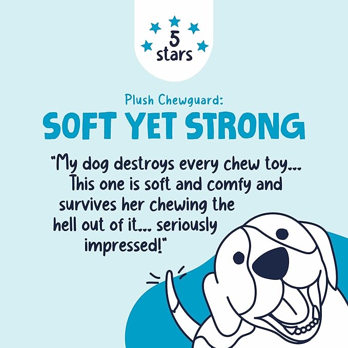 goDog Dragons Squeaky Plush Dog Toy with Chew Guard Technology, Durable Fabric & Squeaker for Active Play, Seafoam, Large