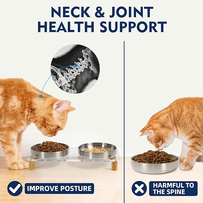 Elevated Cat Bowls for Indoor Cats – Clear Acrylic Cat Food Table with 2 Stainless Steel Dishes, Adjustable Height (4.05"/2.87"), Raised Feeding Station for Easy Digestion