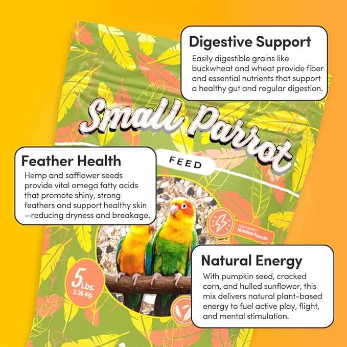 Mycelium Organic Small Parrot Bird Seed (5 LB Bag) | High-Energy Bird Food w/Premium Seeds & Grains for Skin & Feather Health | Daily Nutrition for Parrotlets, Conures & Cockatiel | Non-GMO, USA Made