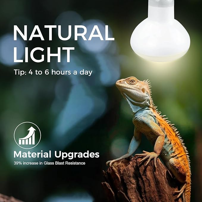 100W Reptile Heat Lamp Bulb, Day & Night Basking Spot Light Combo Pack Includes Infrared Heat Lamp and UVA Daylight Heating Lamp Basking Light for Lizards, Turtles, Chicken，Bearded Dragons
