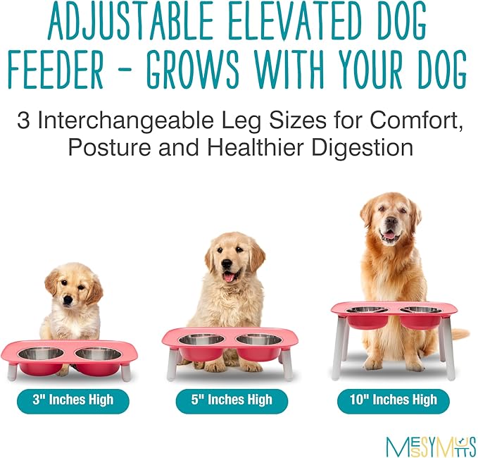 Messy Mutts Elevated Double Feeder with Stainless Bowls | Adjustable Height 3”, 5”, or 10” | Adjustable Standing Feeder for Dogs | 5 Cups per Bowl | Watermelon