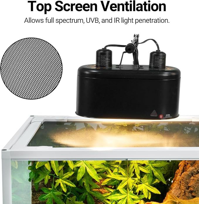 OiiBO 67 Gallon Reptile Tall Terrarium, Vertical Reptile Tank 24" x 18" x 36" Full Tempered Glass Double Front Opening Door with Top Mesh Lid, Reptiles Amphibians Habitat Enclosure (Knock-Down)