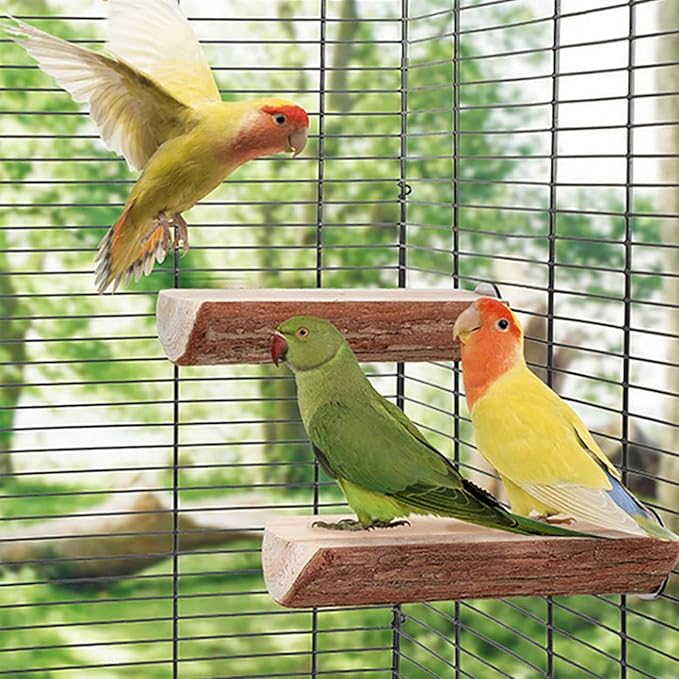 24 Inch Bird Perch Rope - Natural Wood Parrot Perch Stand,with 0.78 Inch Diameter Metal Screw Ends,Interactive Chewing Climbing Toy for Parakeets, Budgies,Cockatiels, Small to Medium Birds