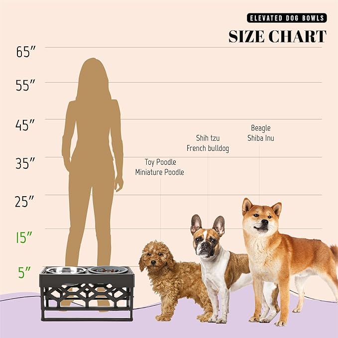 AVERYDAY Small Slow Feeder Dog Bowls Elevated, 4 Height Adjustable Raised Dog Bowl Stand with Stainless Steel Food and Water Bowl, Tall Dogs Feeding Station with Anti-Slip for Small Medium Breeds Dogs