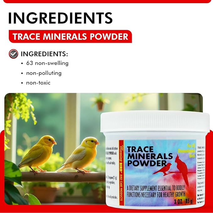 Morning Bird Trace Minerals Powder 3 Oz – Complete Mineral Supplement for Birds – Promotes Energy, Metabolism & Enzyme Activity – Easy to Mix for Daily Vitamin Support.