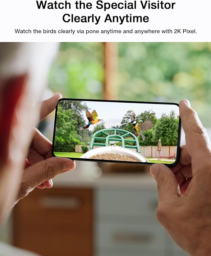 Bird Feeder with Camera - Supports AI Identify Species, 2K Live Video, Arrival Alerts, Solar Powered Bird House Camera, Wireless Wild Birds Feeder for Outdoors, Remote Access to Watch Birds