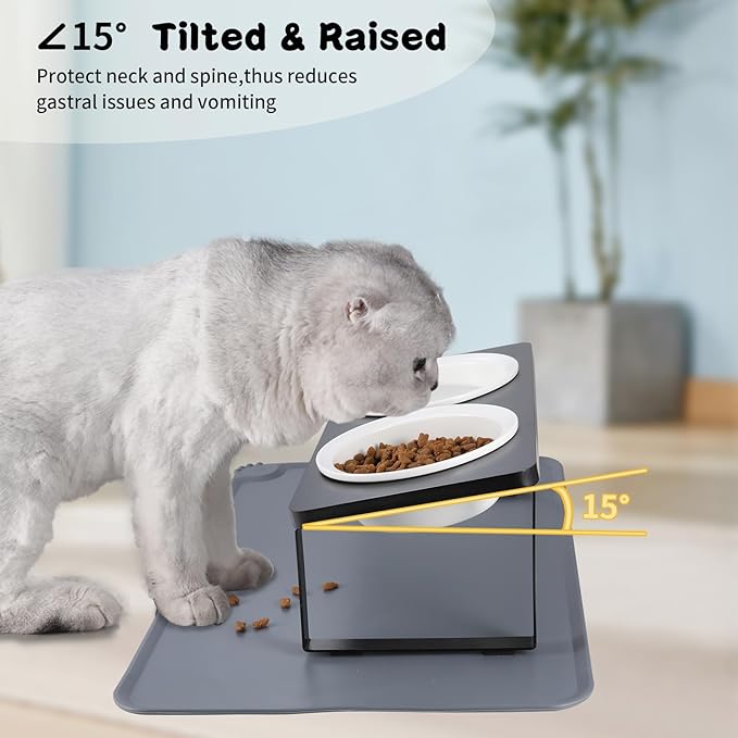 Elevated Whisker Friendly Cat Bowls, 15 Tilted Stand Anti Vomiting Raised Dishes for Food and Water,2 Ceramic Bowls for Cats and Puppy,Black