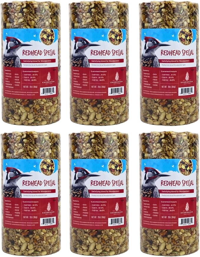 Birdseed Cylinders with Hole - Bird Seed for Outside Wild Birds (Small Cylinder, Redhead Special 6pc)