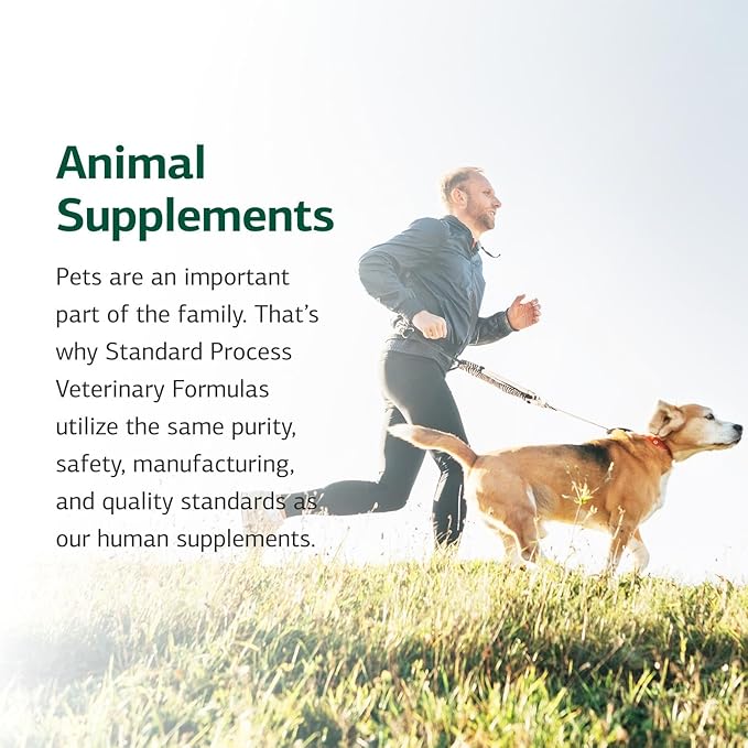 Standard Process Inc. Canine Flex Support - Joint & Immune Health Supplement for Dogs - Chewable Wafers for Healthy Joint Function Support - Nutritional Whole-Food Based Supplement - 100 wafers