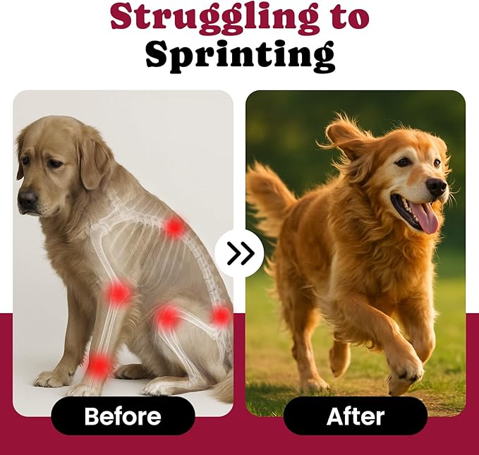 Glucosamine for Dogs Hip & Joint Support, Joint Supplement for Dogs with Chondroitin, Dog Joint Chews for Pain and Inflammation Relief for Large & Small Breeds - 60-Day Satisfaction Guarantee - 180 Ct