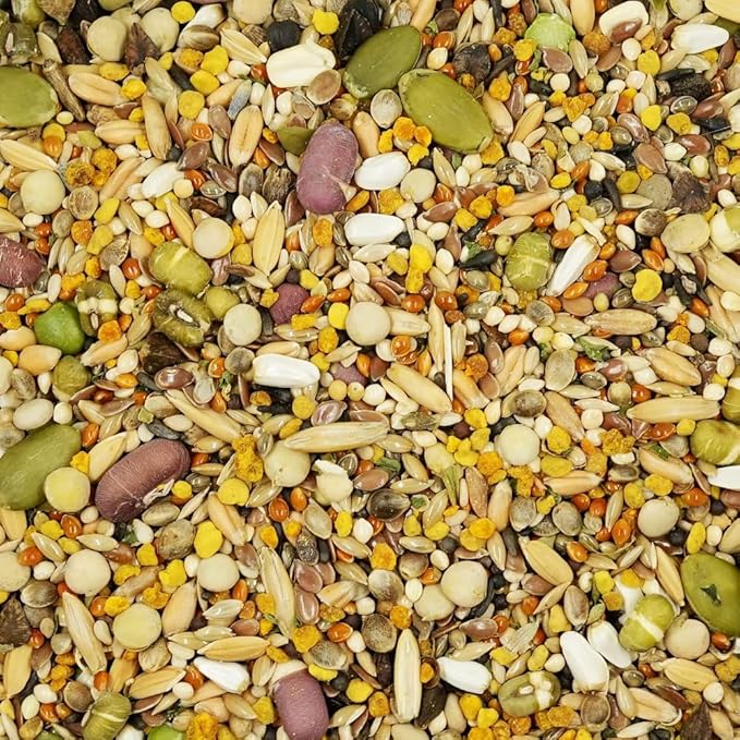 Feather Shine High Potency Blend with Bee Pollen & Freeze-Dried Sprouts - Premium Parrot Food for Molting, Breeding & Growth - Omega Rich | 17.5% Plant Protein | USA-Made