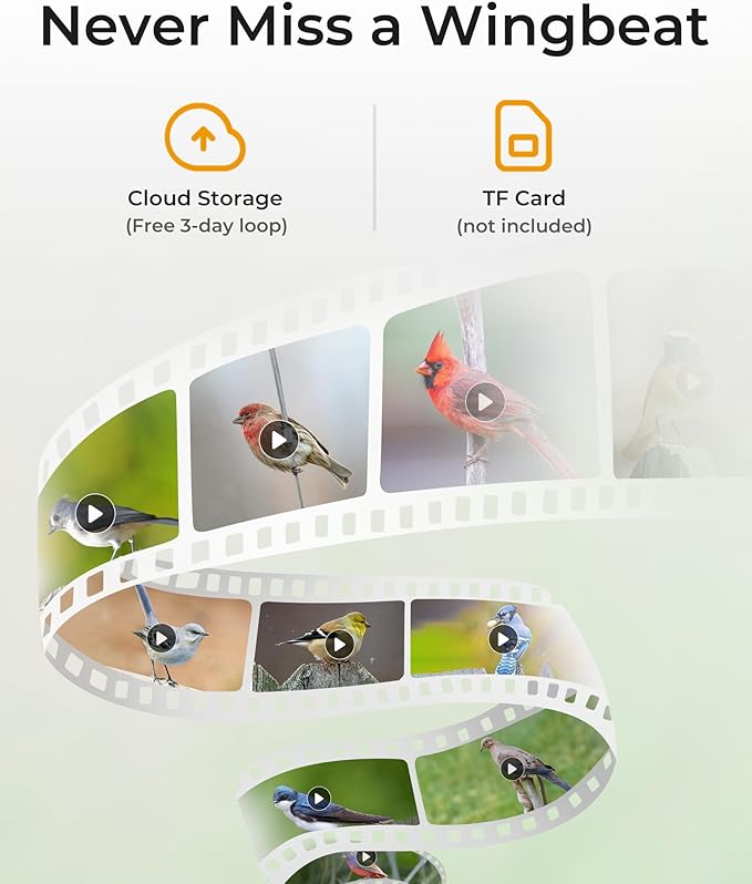 TT Nature@ Bird Feeder with Camera, Smart Bird Feeder Solar Panel, Christmas Style