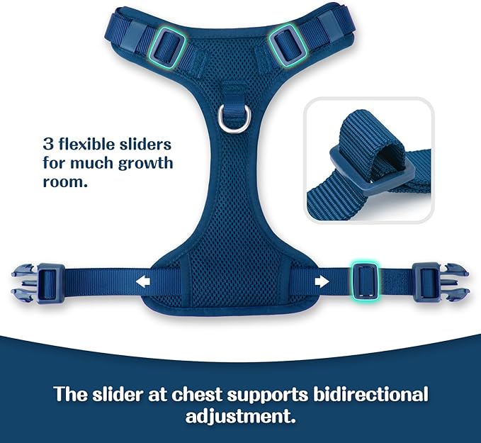 No Pull Dog Harness for Small Medium Large Dogs - Adjustable Two-Layer Mesh Dog Vest with Dual Clip, Escape Proof, Quick Release, Lightweight Breathable Mesh for Walking Hiking (Prussian Blue,M)