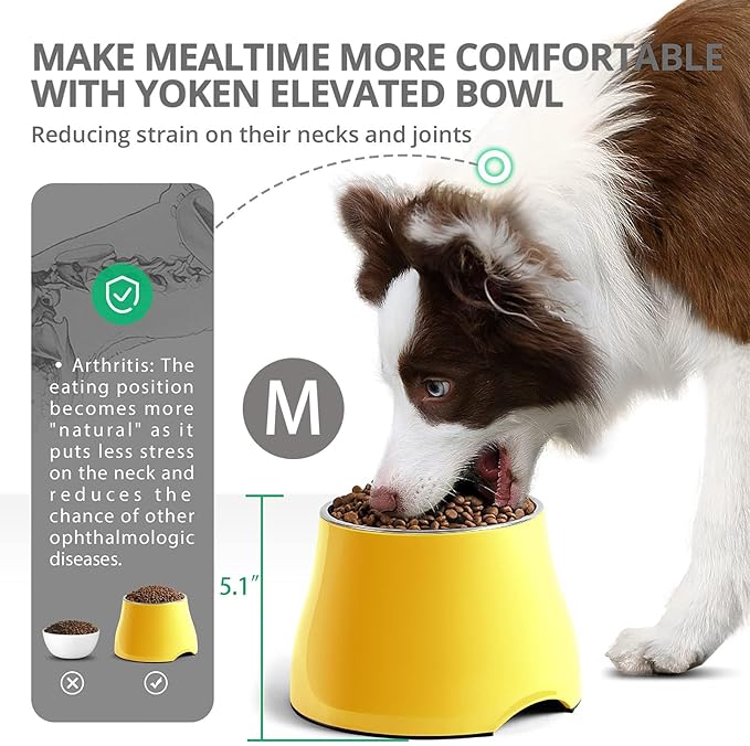 Raised Dog Bowls, Elevated Dog Bowls for Wearing Cone,Cocker Spaniel Long Ears,Neck Stress-Free,Non-Slip Stianless Steel Bowl for Medium/Small Size Dogs