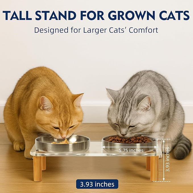 Elevated Cat Bowls for Indoor Cats – Clear Acrylic Cat Food Table with 2 Stainless Steel Dishes, Adjustable Height (4.05"/2.87"), Raised Feeding Station for Easy Digestion