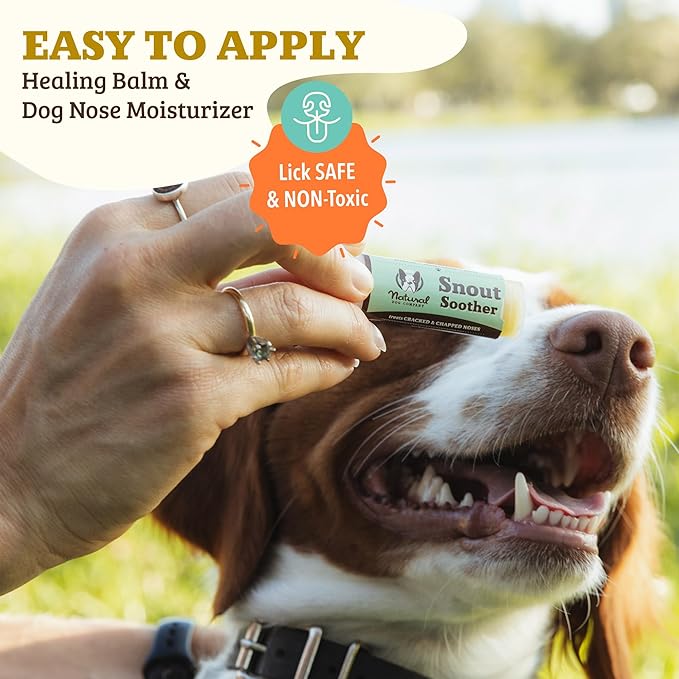 Natural Dog Company Snout Soother, Dog Nose Balm, Wax & Cream for Dry, Cracked Noses, Heals & Moisturizes with Shea Butter & Coconut Oil, Lick-Safe Nose Butter, Made in USA, 2 oz. Stick