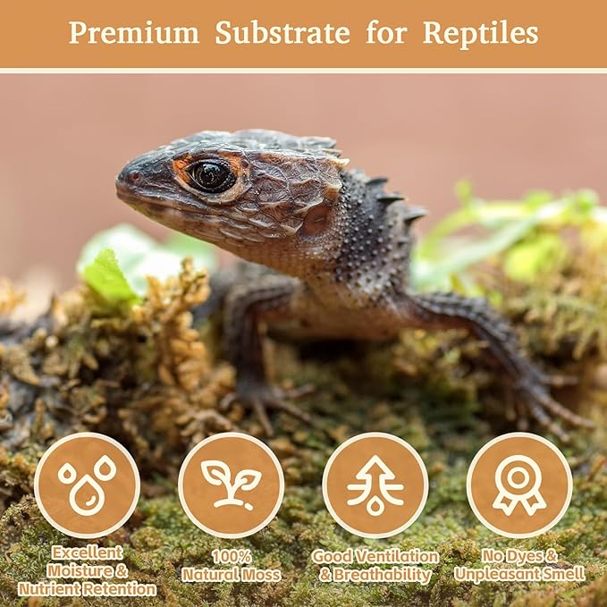 Riare 2.2LB Premium Sphagnum Moss for Reptiles- 50QT Natural Reptile Moss Dried, Forest Live Moss for Terrarium, Frogs Snake Peat Moss Bedding for Leopard Gecko Turtle Anoles Salamanders Orchid Plants