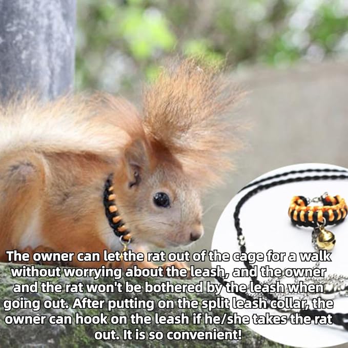 Squirrel Traction Rope Strap Anti-Biting Chain Rope, Small Animal Walking Collar Harness with Lead Leash for Hamster Gerbil Rat Mouse Ferret Chinchilla (Pink)