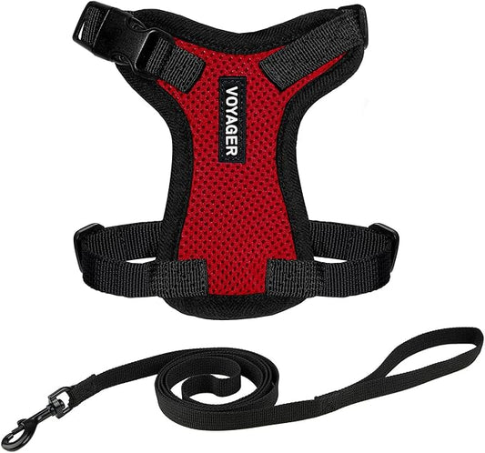 Voyager Step-in Lock Adjustable Cat Harness w. Cat Leash Combo Set with Neoprene Handle 5ft - Supports Small, Medium and Large Breed Cats by Best Pet Supplies - Red/Black Trim, XXXS