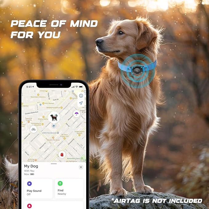 AirTag Dog Collar - Leather Dog Collar with Air Tag Holder | IPX8 Waterproof, Reflective, High - End, Adjustable Soft Padded | Dog GPS Tracker Collars Fit for Medium Large Dogs (Blue, L)