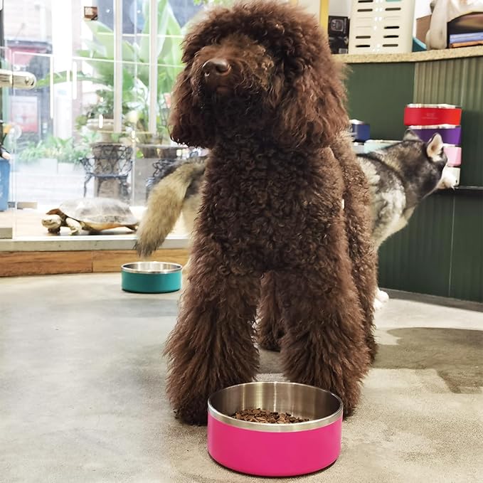 LIHONG Stainless Steel Dog Bowls for Large Dogs,Dog Food Water Bowls with Non Slip Rubber Bottom,Pet Feeding Bowl,Double Wall Insulated,Rustproof(64oz,Pitaya Pink)