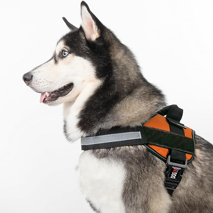 Dogline Dog Harness, Reflective No-Pull Adjustable Vest with Handle for Walking, Training, Breathable, No - Choke Harness for Small, Medium or Large Dogs Room for Patches Girth 27 to 34 in Orange